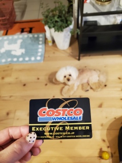 Costco