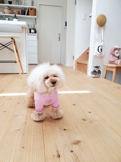 �P���񎎒�