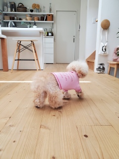 �V������