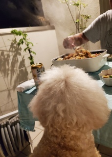 �Ă����΂��B