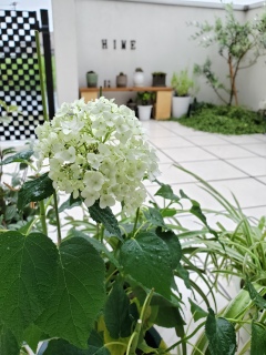�J�����������ˁB