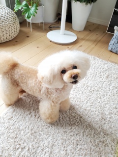 ����