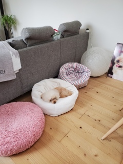 �P�����