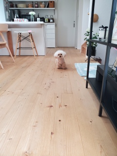 �P����ɋN���Ă��Ă��炤