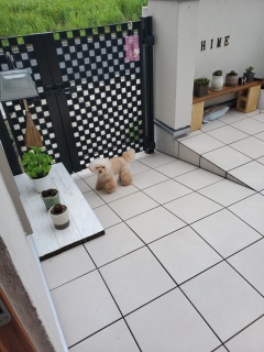 �E��������