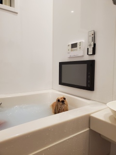 ˁ`
