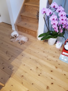 ˁ`