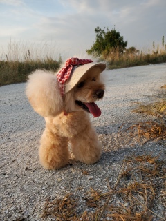����؂���