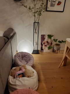 �V�j�A�����