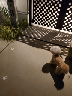 �������l(��)