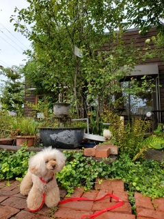 �P�[�L�������