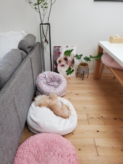 �K��̈ʒu�m��