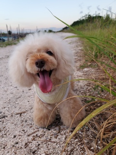 ���U����