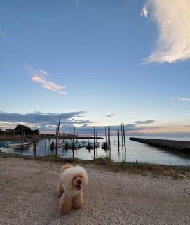 �܂��A����