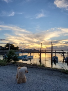 �[���̂��U��