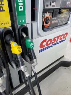 �K�\������