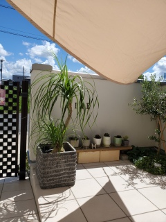 �g�b�N������