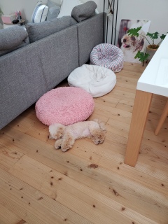 �������I