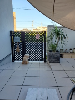 �҂��l(��)