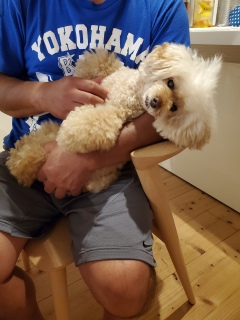 ���₷�݂Ȃ���