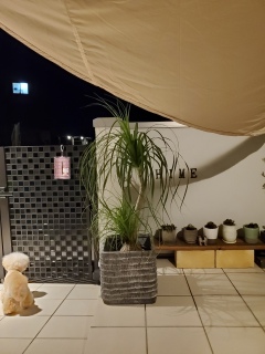 �_�s��������