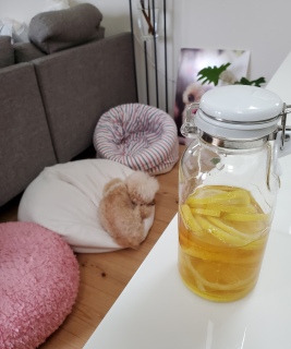 �n�`�~�c������