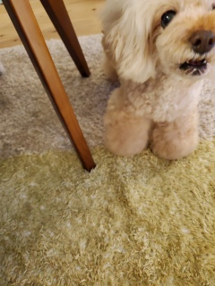 ���₷�݂Ȃ���