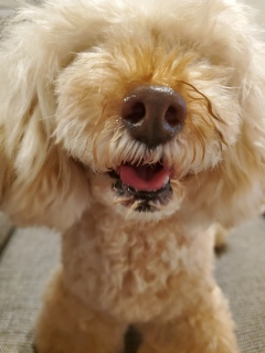 ���₷�݂Ȃ����`