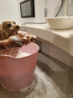 �\�t�g�S�V�S�V