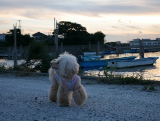 ��x�����������