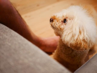 ���₷�݂Ȃ���