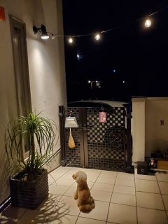 ���₷�݂Ȃ���