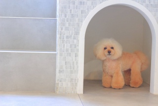 ���₷�݂Ȃ���