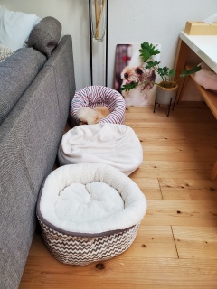 ����ɂ���