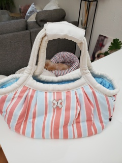 �P����ƃo�b�N