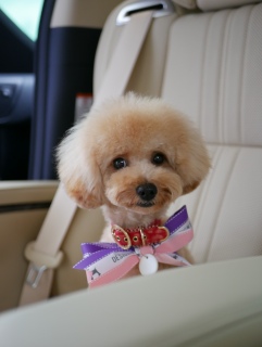 ���Ƃ�����