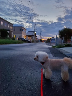 ���U����