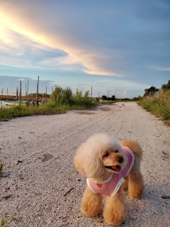 �y��������