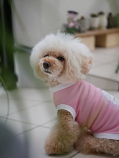 �����͉J�}�[�N