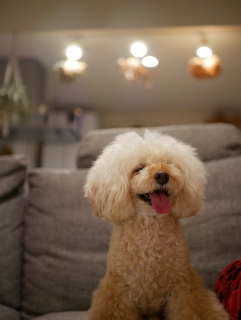 ���₷�݂Ȃ���