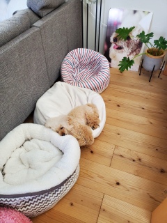 �H���ꂾ���ǁA