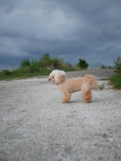 �������ˁ`