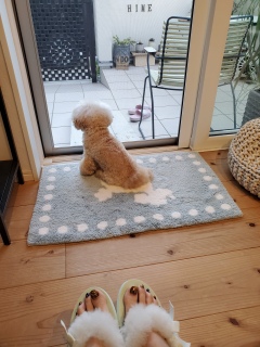 �҂��l�͂₵