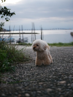 ���₷�݂Ȃ����`