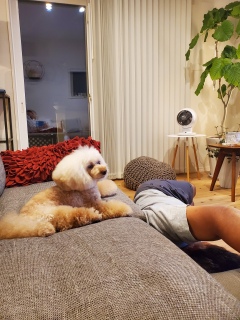 ���₷�݂Ȃ����`