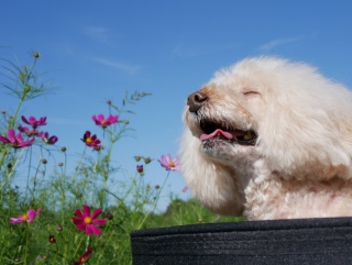 ���₷�݂Ȃ����`