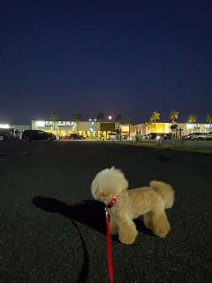 �������U��