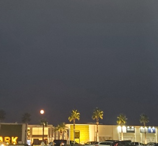 �H�̖钷���y���݂Ȃ���