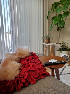 ���U���I����