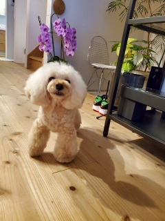 �r���Ŋϐ�I���